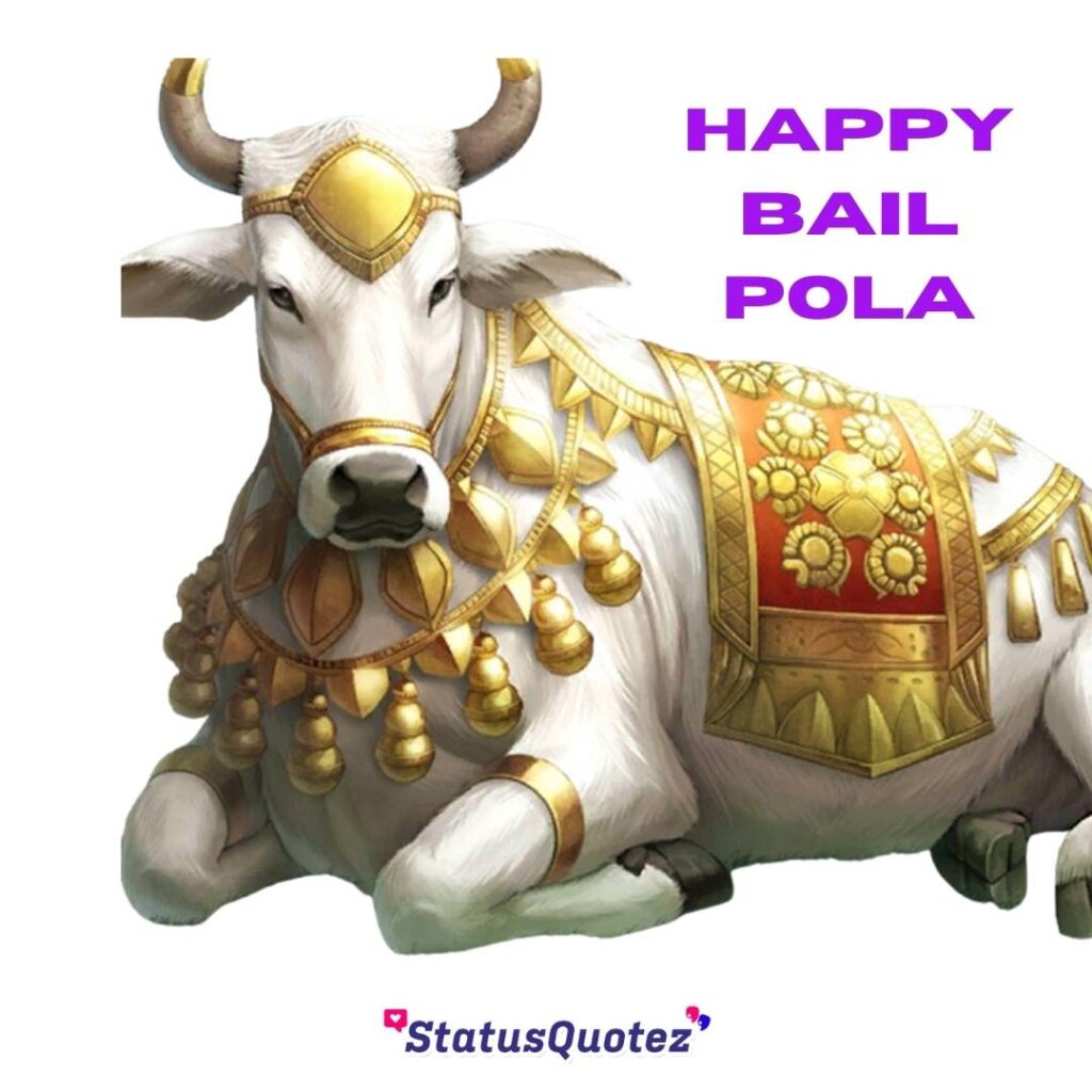 bail-pola-2023-photos